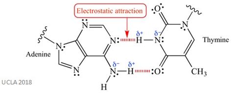 Chemical & Electron Affinity | Summary & Definition | Chemistry Revision