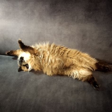 Кукла с бусами | ВКонтакте