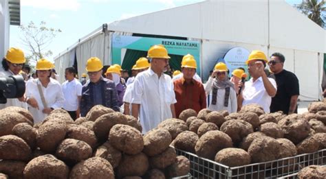 Serap Ratusan Ton Produksi Petani Pt Rezka Nayatama Resmikan Pabrik