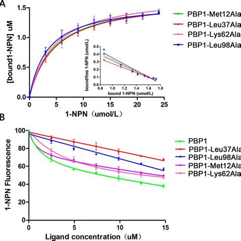 Binding Curves Of 1 NPN And E11 14 OH To LstiPBP1 And The Mutants A