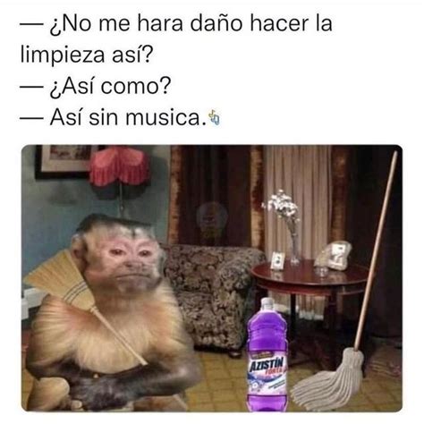 A Monkey Sitting On Top Of A Chair Next To A Bottle Of Cleaner And A Broom