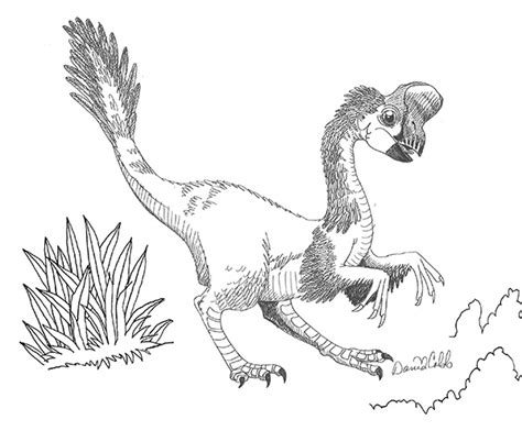 Oviraptor Facts For Kids | Kids Matttroy