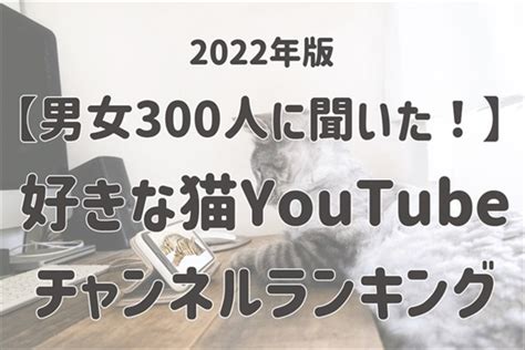 好きな猫youtubeチャンネル 2位は「ふうちゃんらいちゃんねる」、1位は？ Itmedia ビジネスオンライン