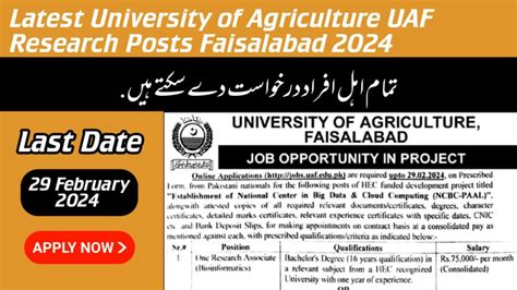 University Of Agriculture UAF Jobs 2024 In Pakistan Latest Naukri 24