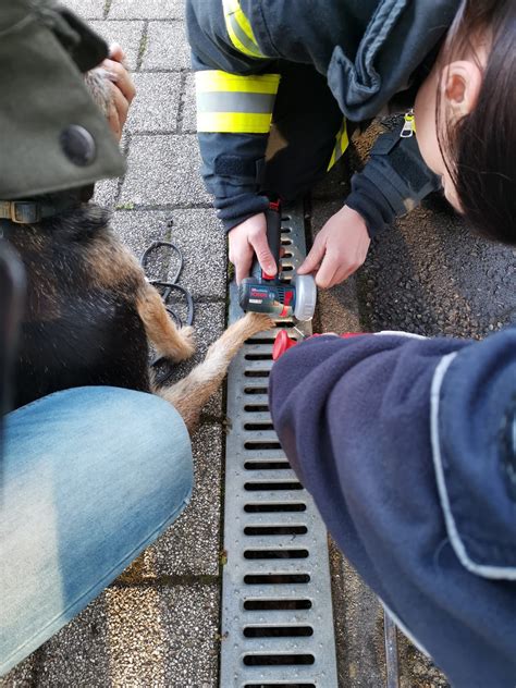 Tierischer Einsatz für Feuerwehr Feuerwehr Altena