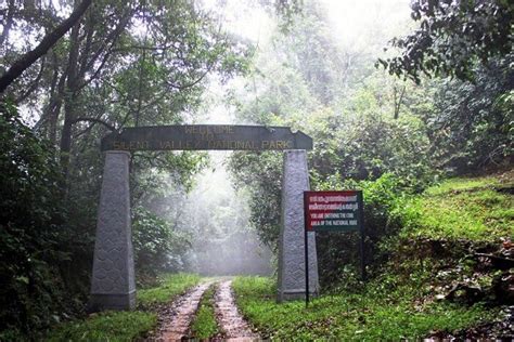 Silent Valley National Park Palakkad Best Time How To Reach