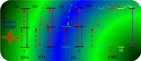 A Schematic Illustration Of Four Typical Upconversion Processes A