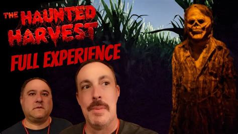 The Haunted Harvest 2022 Corn Maze And Haunted Attraction