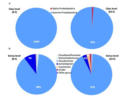 | Next Generation Sequencing (NGS) of the bacterial consortium at 8 and ...