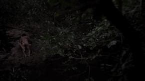 Maria Soldi Nude Aznude