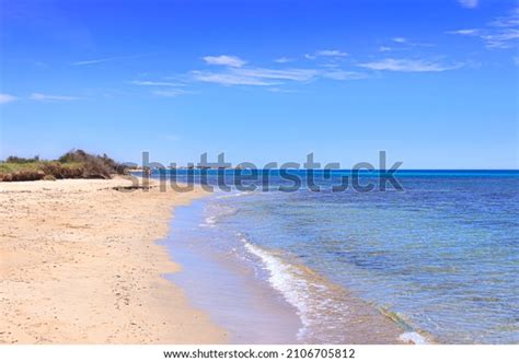 Typical Sandy Beach Dunes Puglia Italy Stock Photo 2106705812