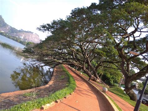 Kurunegala Lake In Sri Lanka Stock Image Image Of Everyone Culture