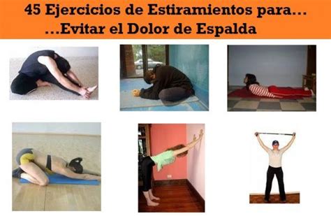 6 Sesiones De Estiramientos Para Prevenir Dolores De Espalda Fisiostar