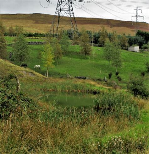 Former Wellfield Mill Pond Kevin Waterhouse Cc By Sa 2 0 Geograph