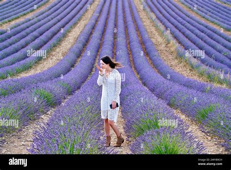 Lavanda En Flor Hi Res Stock Photography And Images Alamy