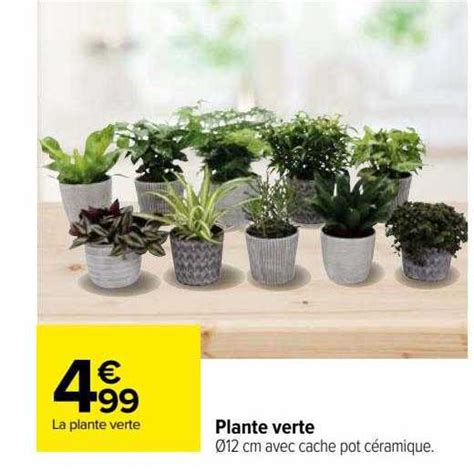 Promo Plante Verte Chez Carrefour ICatalogue Fr