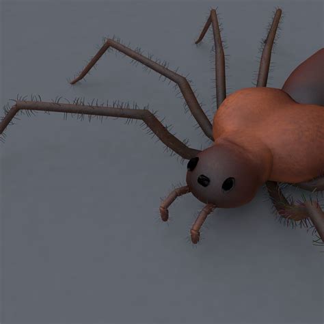 Spider 3d Model Animals Low Poly Cgtrader