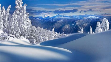 Download A beautiful winter landscape of untouched snow. | Wallpapers.com