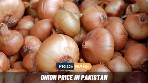 Onion Price In Pakistan Today 2024 Piyaz Market Rate