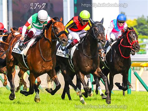 シャフリヤールが香港に到着 ニュース 競馬ブック