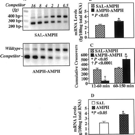 Mechanisms By Which SP NK A And Cytokines Are Linked To NK 1 And NK 2