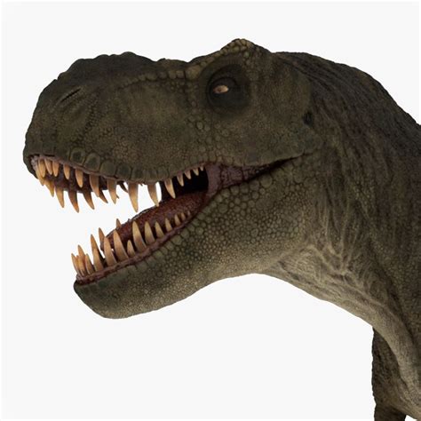 Tyrannosaurus Rex Realistic Rigged D Model Turbosquid