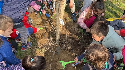 SANTENA GIORNATA DELLE FORESTE CentoTorri