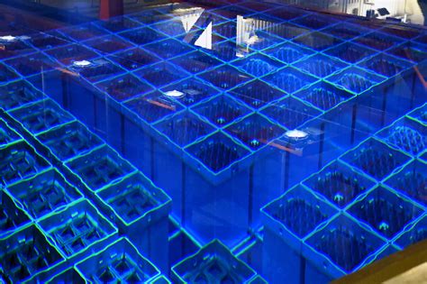 What Is Cherenkov Radiation Iaea