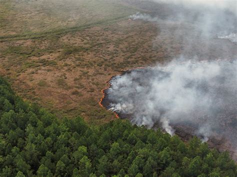 Incendios En Argentina Tres Claves Para Entender Cómo El Fuego Afecta