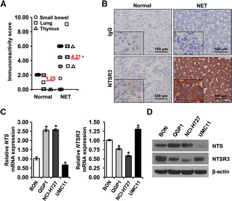 Expression Analysis Of Ntsr3 Sortilin In Clinical Net Tissues And Four