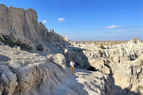 Revisiting the Fatal Grizzly Attacks That Changed America's National ...