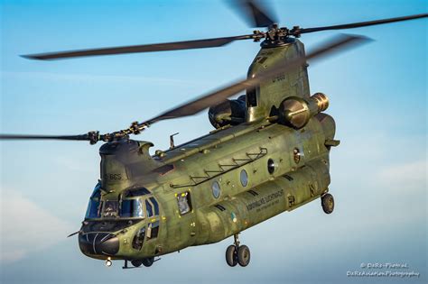 The Rnlaf Boeing Ch D Chinook Dare Photo