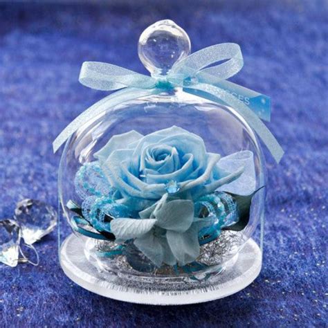 Rose Glass Dome Light Blue Endura Flora