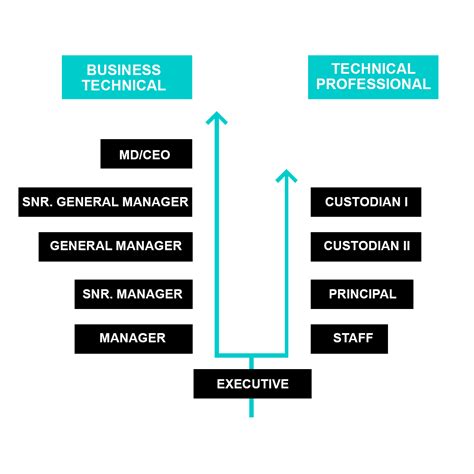 Career Path Petronas