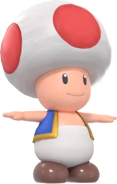 File Toad Model Mrsoh Png Super Mario Wiki The Mario Encyclopedia