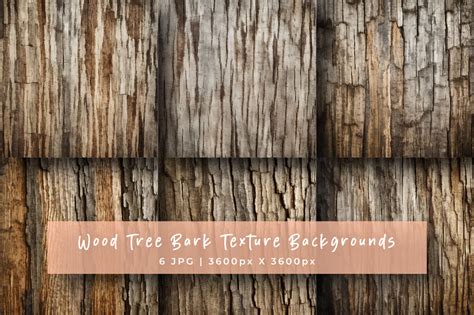 Tree Bark Textures Backgrounds Graphic By Srempire · Creative Fabrica