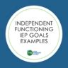 Independent Functioning Iep Goals Examples Your Therapy Source