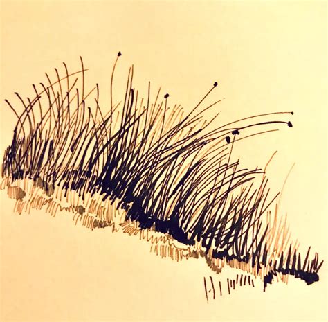 Drawing Grass with Pen and Ink - Improve Drawing