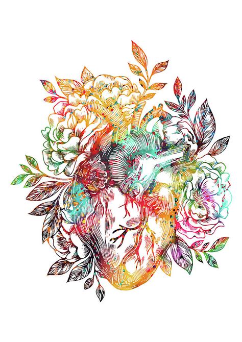 Anatomical heart with flowers Digital Art by Erzebet S | Pixels