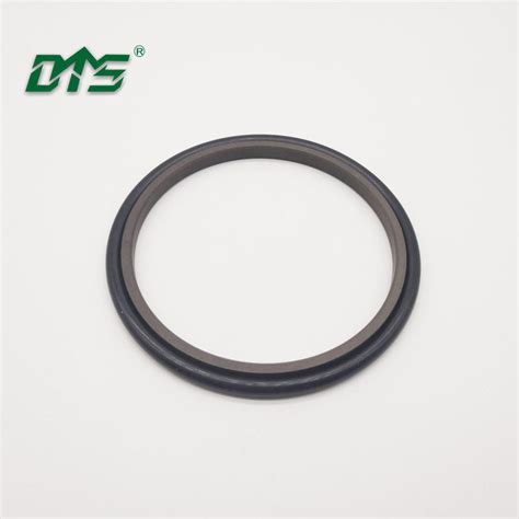 Rod Wiper Sealspneumatic Ptfe Wiper Rod Seals Dms Seal Manufacturer