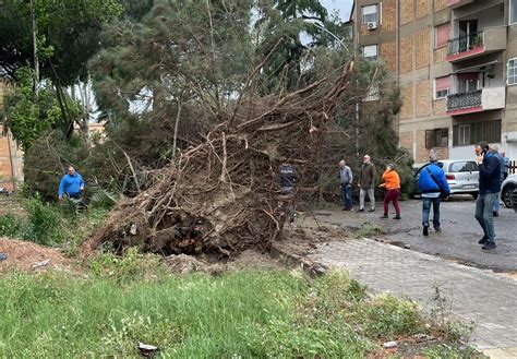 Reggio Calabria Procura Apre Inchiesta Sulla Morte Dell Avvocato