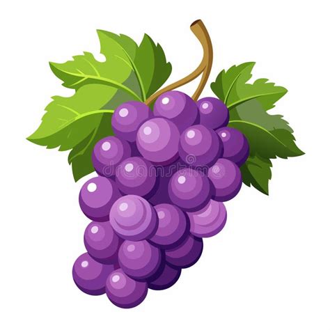 high resolution grape vector art  print stock vector illustration