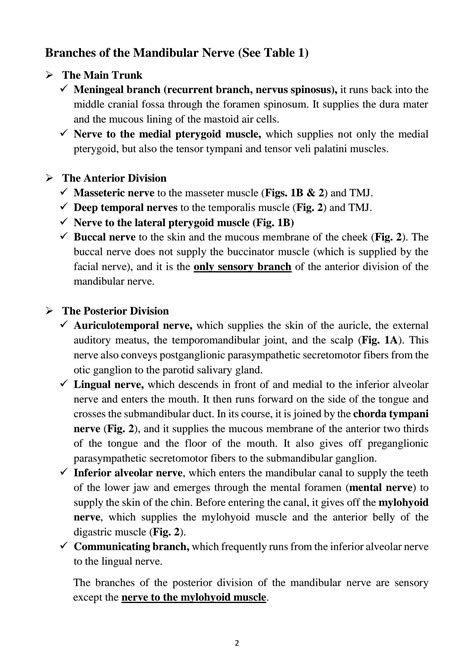 SOLUTION Human Anatomy Mandibular Nerve Studypool