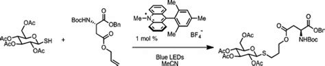 Visible Light Mediated Thiolene Reactions Through Organic Photoredox