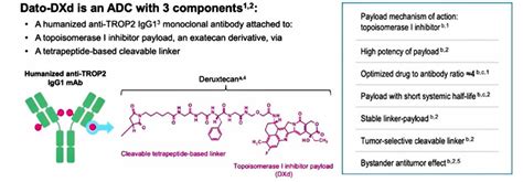 Advances In TROP 2 Directed ADCs Biopharma PEG