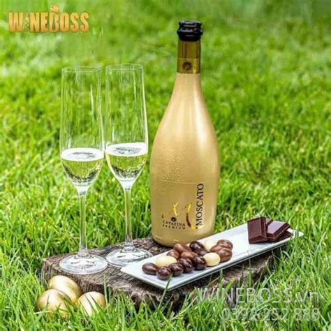 Rượu Vang Ý Cavatina M Moscato Bianco Wineboss