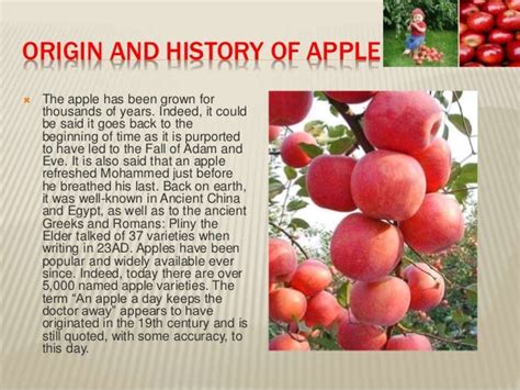 History Of Fruits By Allah Dad Khan