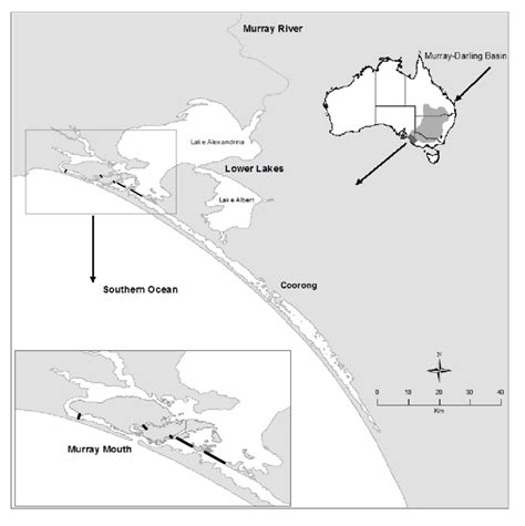 1 Map Of The Coorong Estuary And Lower Murray River Including Lakes