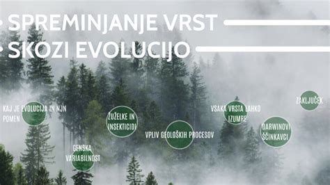 EVOLUCIJA By Matija Rudolf On Prezi