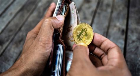Top Cryptocurrency Wallets for Secure Storage and Easy Access